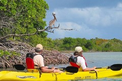Create Listing: Sunset Kayak Tour - St. Thomas- 1.5hrs